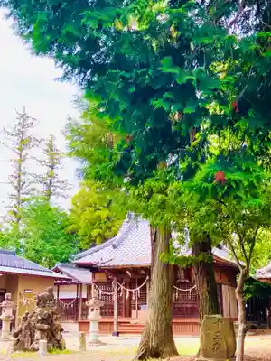吉沼八幡神社(茨城県)