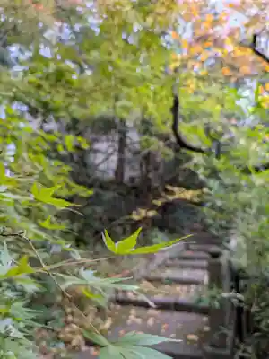 赤坂氷川神社(東京都)