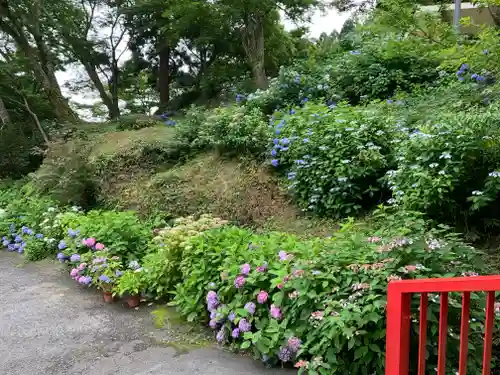 普門寺(切り絵御朱印発祥の寺)の庭園