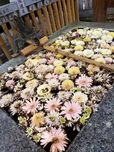 高円寺氷川神社の手水