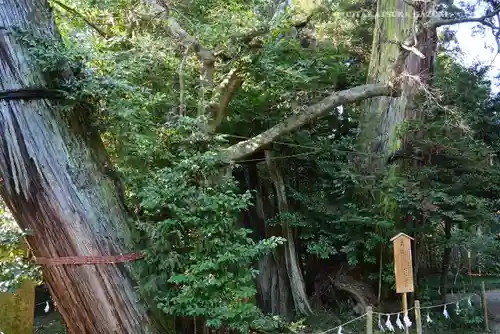 香取神宮(千葉県)