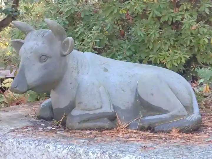 円蔵寺(福島県)