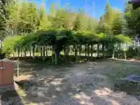志那神社(滋賀県)