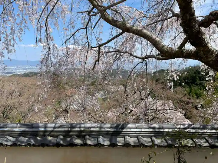 善峯寺(京都府)