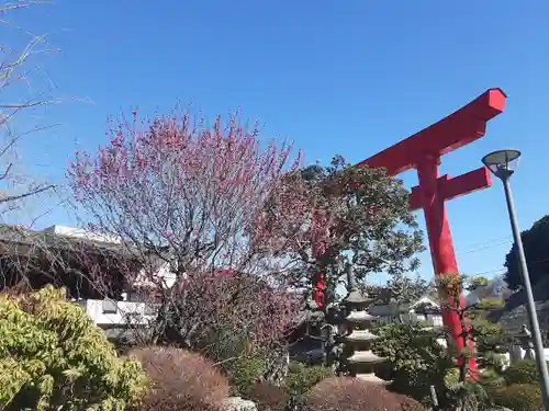 武州柿生琴平神社の鳥居