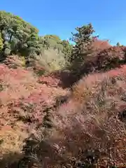 東福禅寺（東福寺）(京都府)