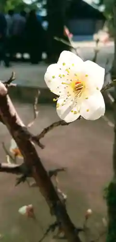 意富比神社(千葉県)