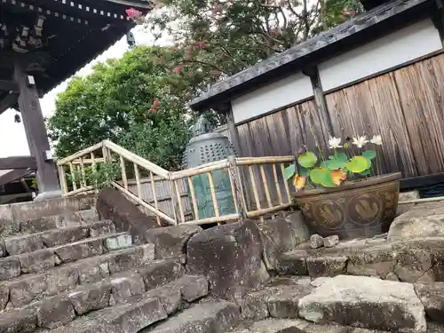 妙蓮寺のその他建物