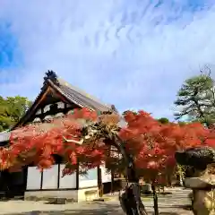 秋葉總本殿可睡斎の建物その他