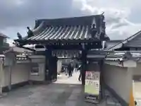 地蔵院(椿寺)(京都府)