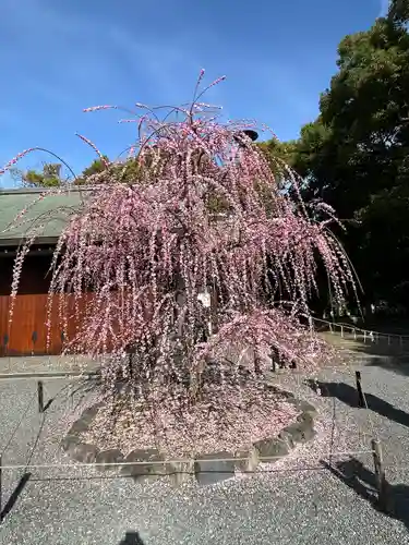 城南宮(京都府)