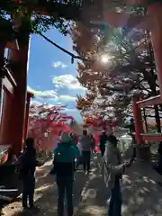 新倉富士浅間神社(山梨県)