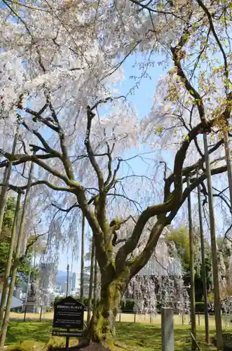 足羽神社(福井県)