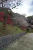 川見薬師寺の自然