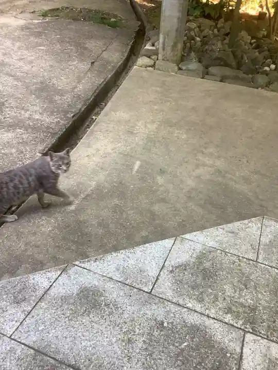玉野御嶽神社の動物