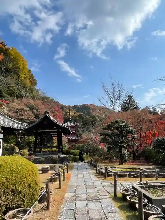 三室戸寺(京都府)