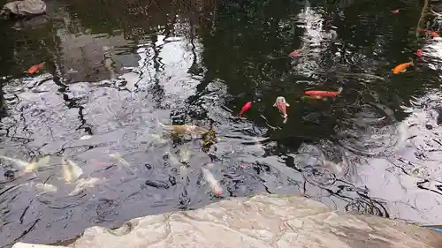 愛宕神社の庭園