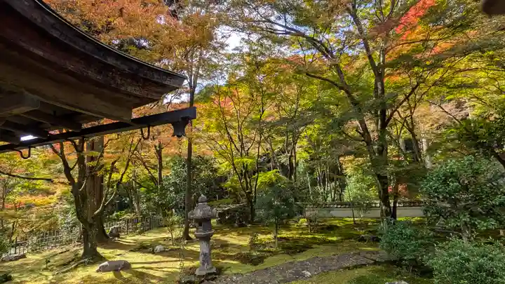 高山寺(京都府)