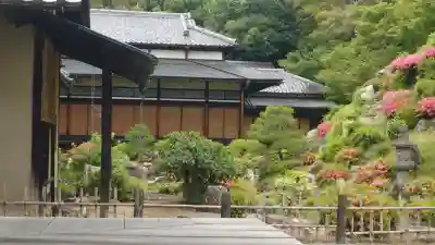  智積院の{uncategorized: "未分類", other: "その他", undefined: "問題あり", building: "その他建物", grave: "お墓", sacred_gate: "鳥居", guardian: "狛犬", statue: "像", buddha: "仏像", history: "歴史", nature: "自然", garden: "庭園", animal: "動物", pagoda: "塔", temizu: "手水舎", mountain_gate: "山門・神門", sanctuary: "本殿・本堂", subordinate: "末社・摂社", art: "芸術", scenery: "景色", jizo: "地蔵", ema: "絵馬", goshuin: "御朱印", omikuji: "おみくじ", items: "授与品その他", amulet: "お守り", goshuincho: "御朱印帳", eats: "食事", festival: "お祭り", votive_dance: "神楽", shichigosan: "七五三参", wedding: "結婚式", experience: "体験その他", initially: "初詣", around: "周辺", anti_infection: "感染症対策"}
