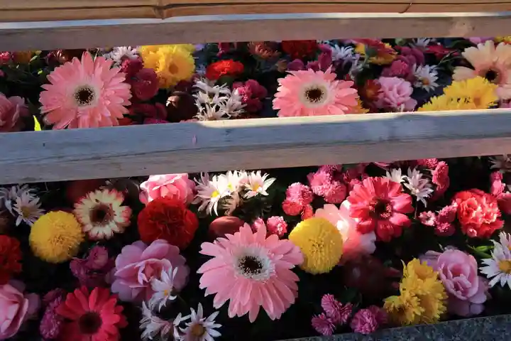 豊景神社の手水舎