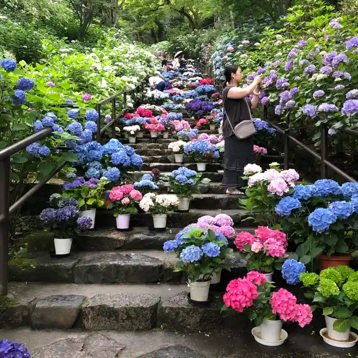 長谷寺(奈良県)