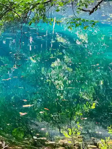丸池神社(山形県)