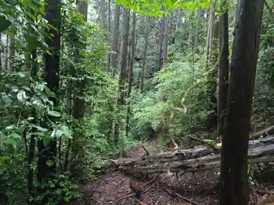 弘川寺(大阪府)