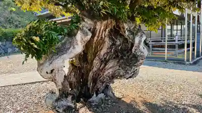 法順寺(福井県)