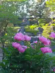 當麻寺 奥院の自然