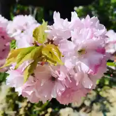 豊景神社の自然