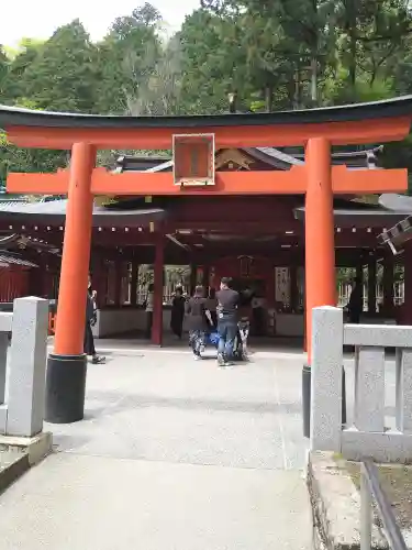 九頭龍神社新宮の鳥居