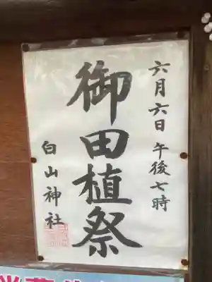 白山神社（二子町）のお祭り