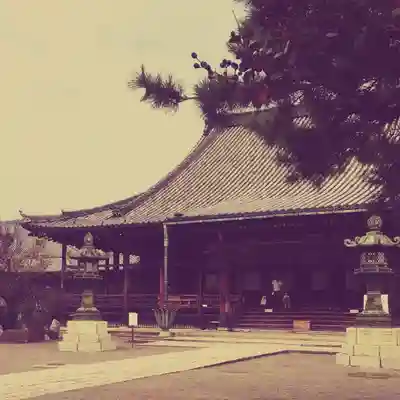 大通寺(長浜御坊)の本殿・本堂