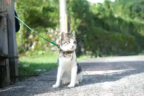 熊野本宮大社の動物
