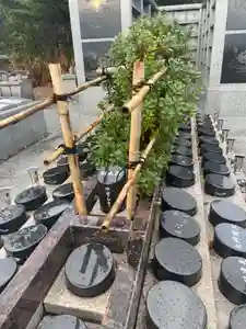 国上寺(新潟県)(2025年12月11日(木) 22時37分03秒投稿)