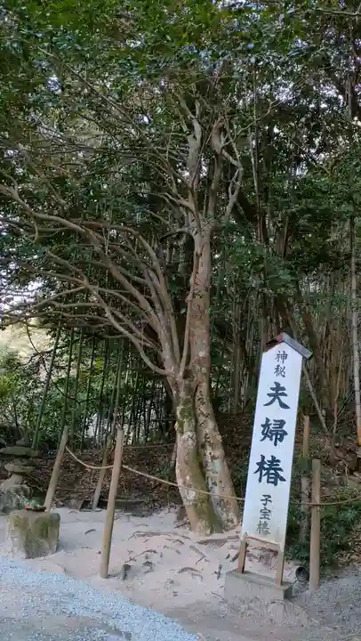 八重垣神社(島根県)
