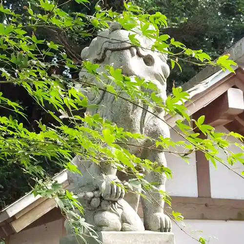 泉神社の狛犬