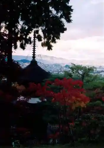 常寂光寺の景色