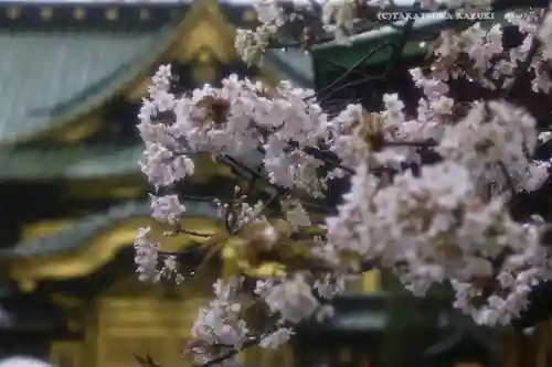 上野東照宮(東京都)