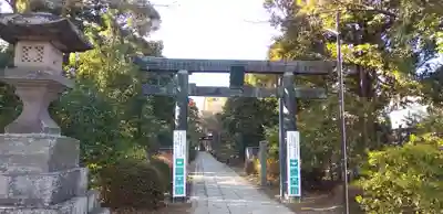 春日部八幡神社の鳥居