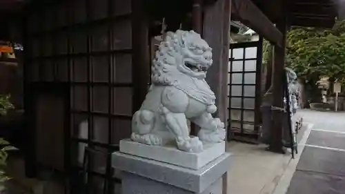 松雲寺の狛犬