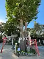 川越八幡宮(埼玉県)