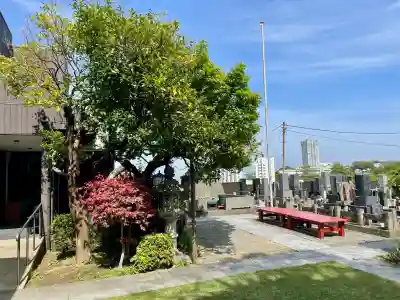 萬藏寺の{uncategorized: "未分類", other: "その他", undefined: "問題あり", building: "その他建物", grave: "お墓", sacred_gate: "鳥居", guardian: "狛犬", statue: "像", buddha: "仏像", history: "歴史", nature: "自然", garden: "庭園", animal: "動物", pagoda: "塔", temizu: "手水舎", mountain_gate: "山門・神門", sanctuary: "本殿・本堂", subordinate: "末社・摂社", art: "芸術", scenery: "景色", jizo: "地蔵", ema: "絵馬", goshuin: "御朱印", omikuji: "おみくじ", items: "授与品その他", amulet: "お守り", goshuincho: "御朱印帳", eats: "食事", festival: "お祭り", votive_dance: "神楽", shichigosan: "七五三参", wedding: "結婚式", experience: "体験その他", initially: "初詣", around: "周辺", anti_infection: "感染症対策"}