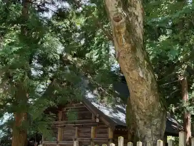 諏訪大社上社前宮(長野県)