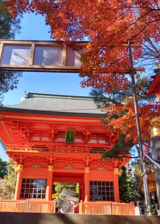 穴八幡宮の山門・神門
