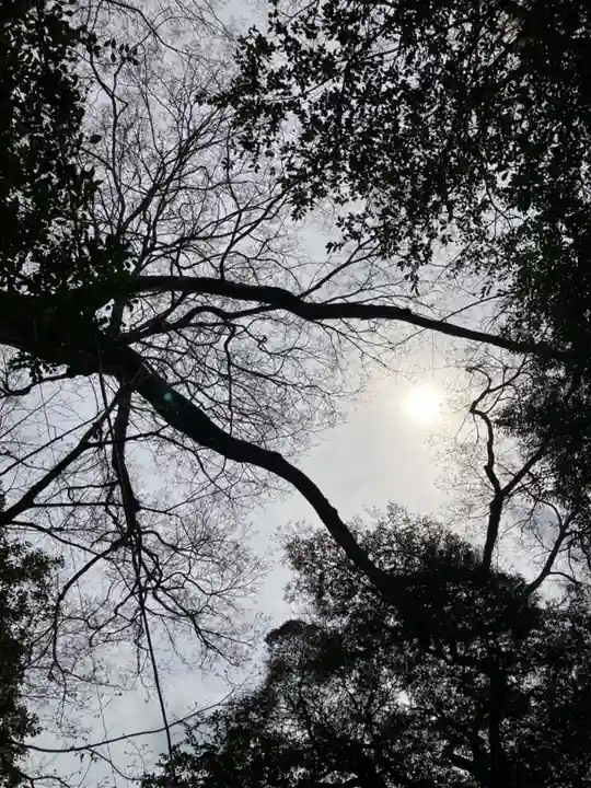 神崎神社(千葉県)