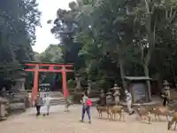 春日大社の鳥居