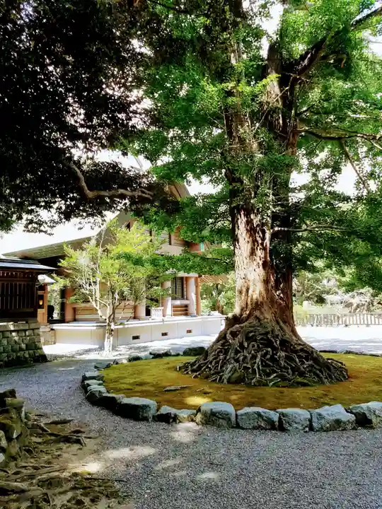 安房神社の自然