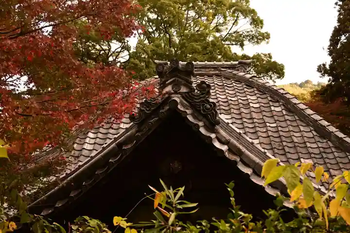 十輪寺(京都府)