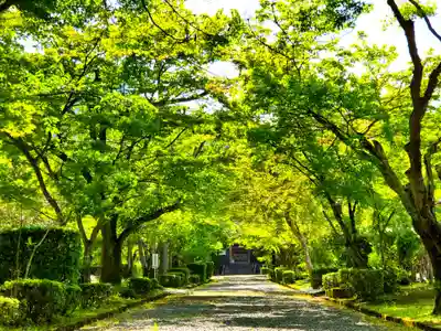 三寶寺のその他建物